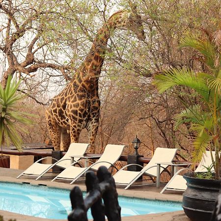 African Rock Lodge Hoedspruit Bagian luar foto