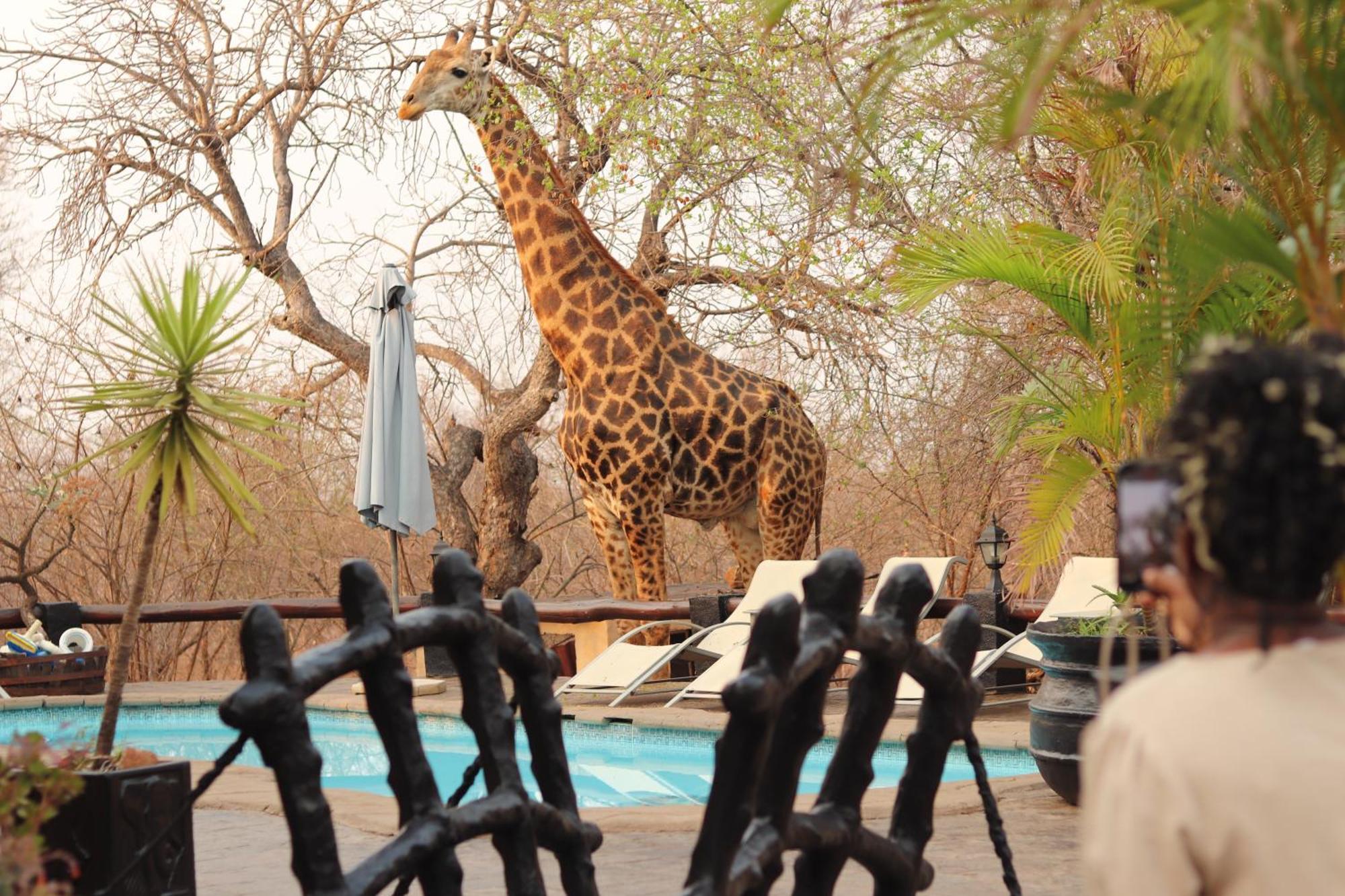 African Rock Lodge Hoedspruit Bagian luar foto