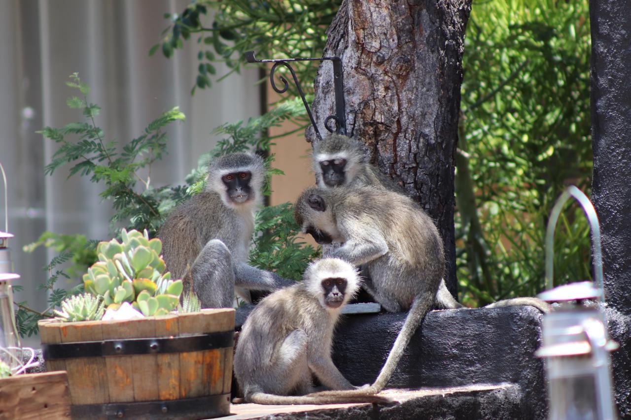 African Rock Lodge Hoedspruit Bagian luar foto